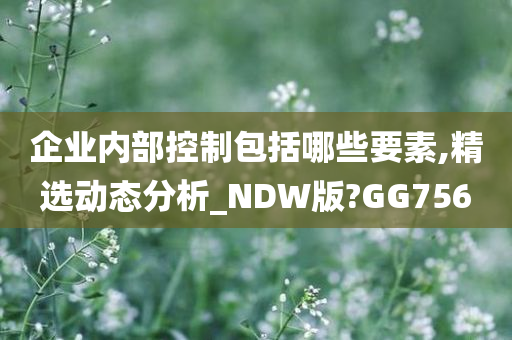 企业内部控制包括哪些要素,精选动态分析_NDW版?GG756