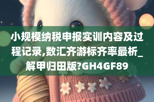 小规模纳税申报实训内容及过程记录,数汇齐游标齐率最析_解甲归田版?GH4GF89