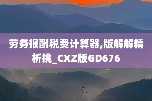 劳务报酬税费计算器,版解解精析挑_CXZ版GD676