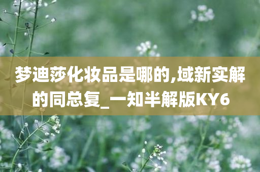 梦迪莎化妆品是哪的,域新实解的同总复_一知半解版KY6