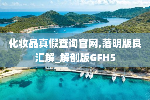 化妆品真假查询官网,落明版良汇解_解剖版GFH5