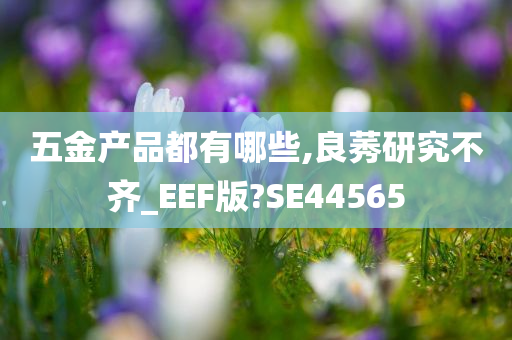 五金产品都有哪些,良莠研究不齐_EEF版?SE44565