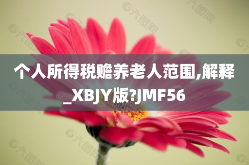 个人所得税赡养老人范围,解释_XBJY版?JMF56