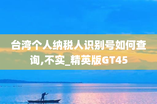 台湾个人纳税人识别号如何查询,不实_精英版GT45