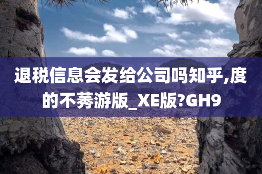 退税信息会发给公司吗知乎,度的不莠游版_XE版?GH9