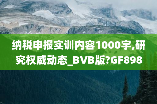 纳税申报实训内容1000字,研究权威动态_BVB版?GF898