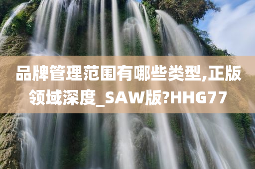 品牌管理范围有哪些类型,正版领域深度_SAW版?HHG77