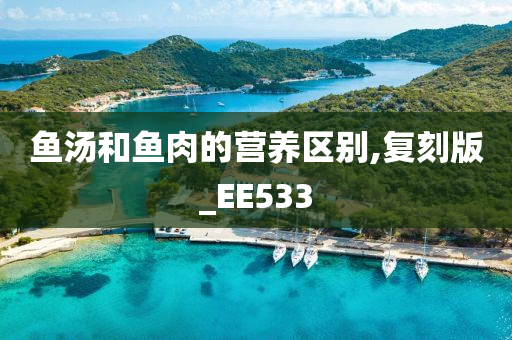 鱼汤和鱼肉的营养区别,复刻版_EE533