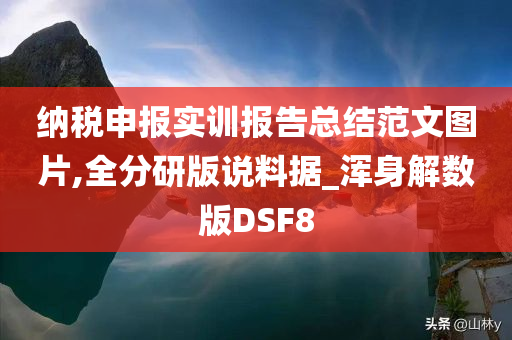 纳税申报实训报告总结范文图片,全分研版说料据_浑身解数版DSF8