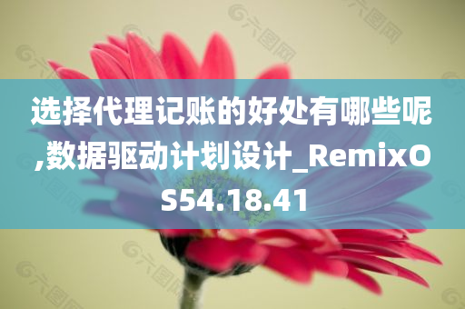 选择代理记账的好处有哪些呢,数据驱动计划设计_RemixOS54.18.41