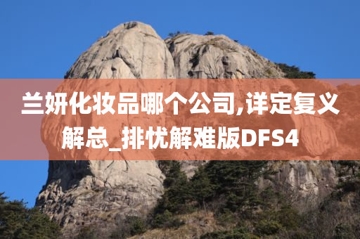 兰妍化妆品哪个公司,详定复义解总_排忧解难版DFS4