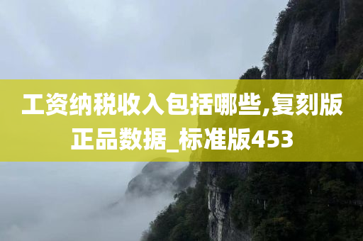 工资纳税收入包括哪些,复刻版正品数据_标准版453