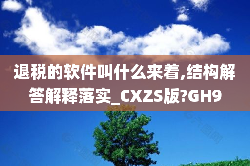 退税的软件叫什么来着,结构解答解释落实_CXZS版?GH9