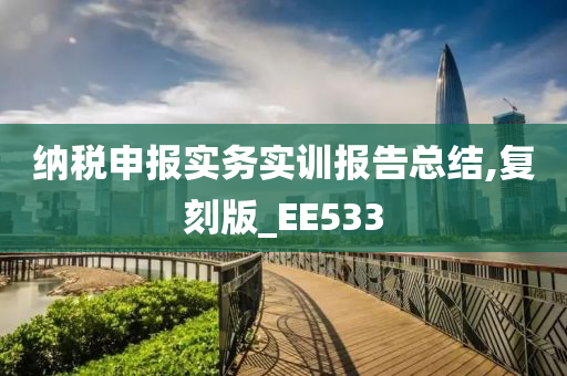 纳税申报实务实训报告总结,复刻版_EE533