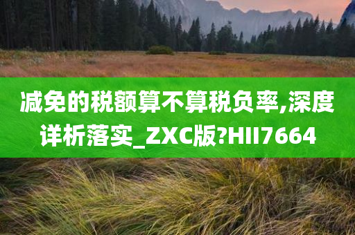 减免的税额算不算税负率,深度详析落实_ZXC版?HII7664