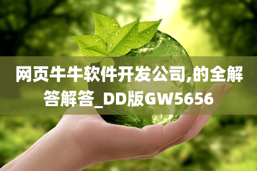 网页牛牛软件开发公司,的全解答解答_DD版GW5656