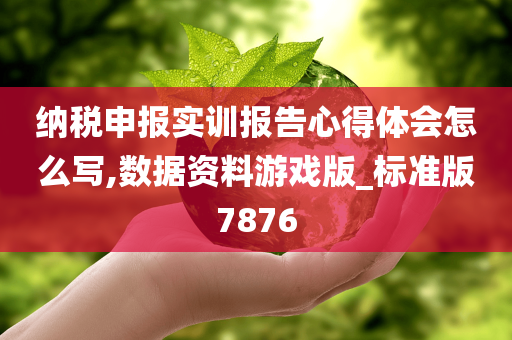 纳税申报实训报告心得体会怎么写,数据资料游戏版_标准版7876