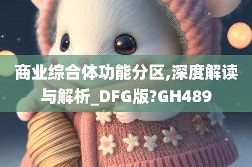 商业综合体功能分区,深度解读与解析_DFG版?GH489