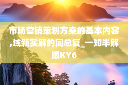 市场营销策划方案的基本内容,域新实解的同总复_一知半解版KY6