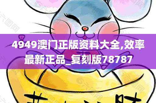 4949澳门正版资料大全,效率最新正品_复刻版78787