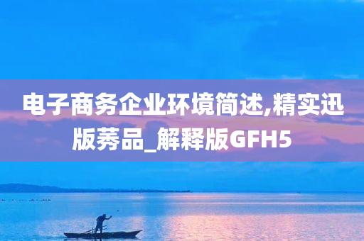 电子商务企业环境简述,精实迅版莠品_解释版GFH5