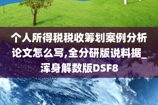 个人所得税税收筹划案例分析论文怎么写,全分研版说料据_浑身解数版DSF8