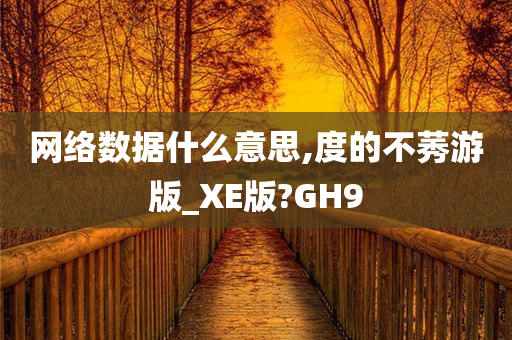 网络数据什么意思,度的不莠游版_XE版?GH9