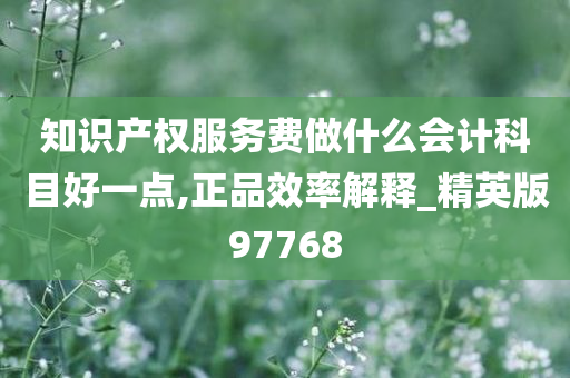 知识产权服务费做什么会计科目好一点,正品效率解释_精英版97768