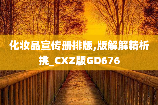 化妆品宣传册排版,版解解精析挑_CXZ版GD676