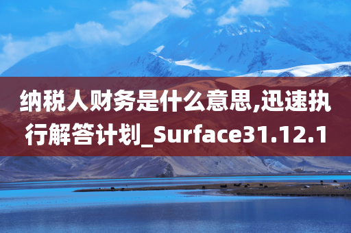 纳税人财务是什么意思,迅速执行解答计划_Surface31.12.10