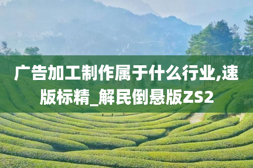 广告加工制作属于什么行业,速版标精_解民倒悬版ZS2