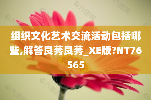 组织文化艺术交流活动包括哪些,解答良莠良莠_XE版?NT76565