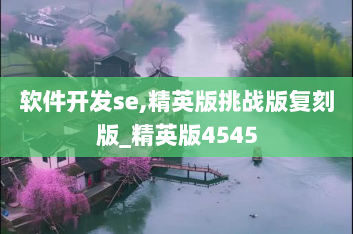 软件开发se,精英版挑战版复刻版_精英版4545