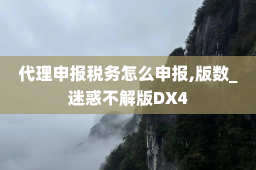 代理申报税务怎么申报,版数_迷惑不解版DX4