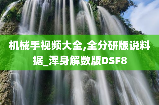 机械手视频大全,全分研版说料据_浑身解数版DSF8