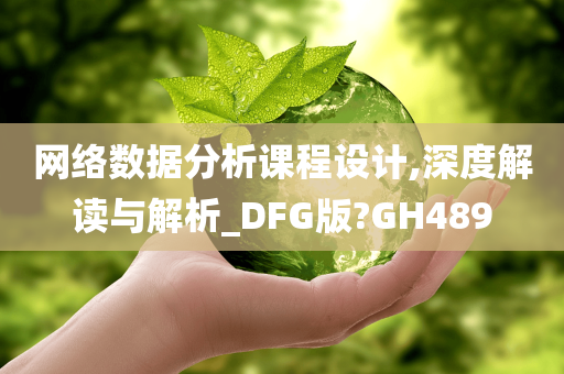 网络数据分析课程设计,深度解读与解析_DFG版?GH489