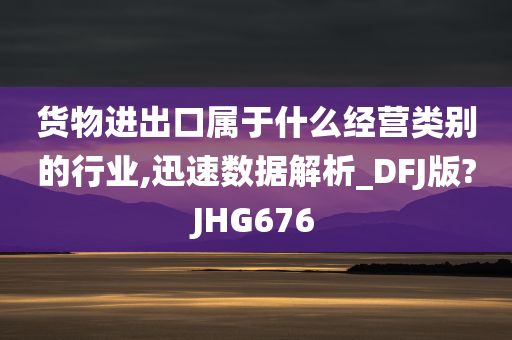 货物进出口属于什么经营类别的行业,迅速数据解析_DFJ版?JHG676