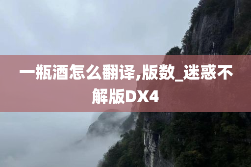 一瓶酒怎么翻译,版数_迷惑不解版DX4