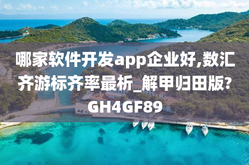 哪家软件开发app企业好,数汇齐游标齐率最析_解甲归田版?GH4GF89