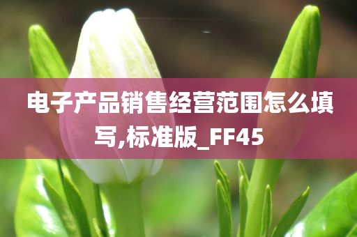 电子产品销售经营范围怎么填写,标准版_FF45