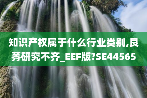 知识产权属于什么行业类别,良莠研究不齐_EEF版?SE44565