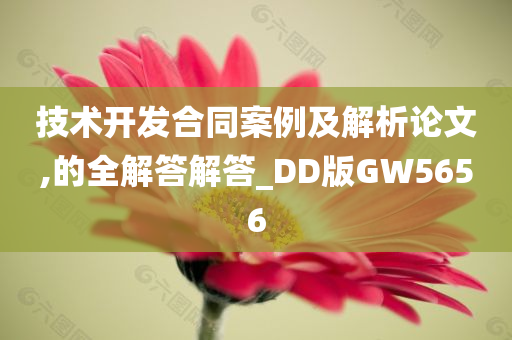 技术开发合同案例及解析论文,的全解答解答_DD版GW5656