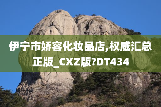 伊宁市娇容化妆品店,权威汇总正版_CXZ版?DT434