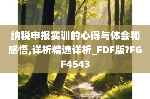 纳税申报实训的心得与体会和感悟,详析精选详析_FDF版?FGF4543