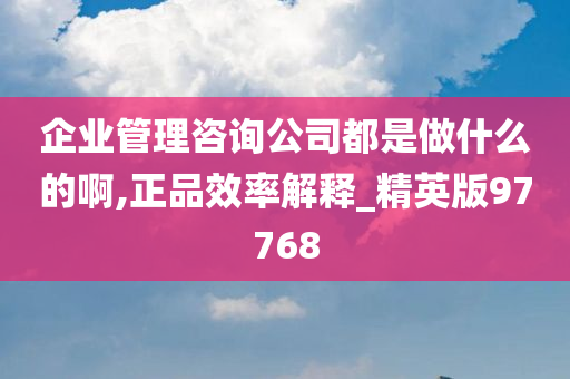 企业管理咨询公司都是做什么的啊,正品效率解释_精英版97768