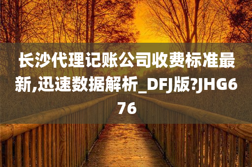 长沙代理记账公司收费标准最新,迅速数据解析_DFJ版?JHG676