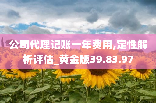 公司代理记账一年费用,定性解析评估_黄金版39.83.97