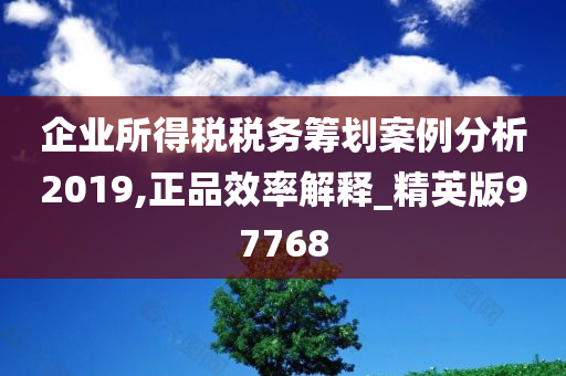 企业所得税税务筹划案例分析2019,正品效率解释_精英版97768