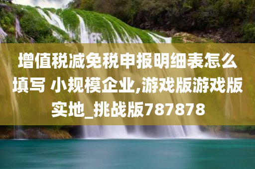 增值税减免税申报明细表怎么填写 小规模企业,游戏版游戏版实地_挑战版787878