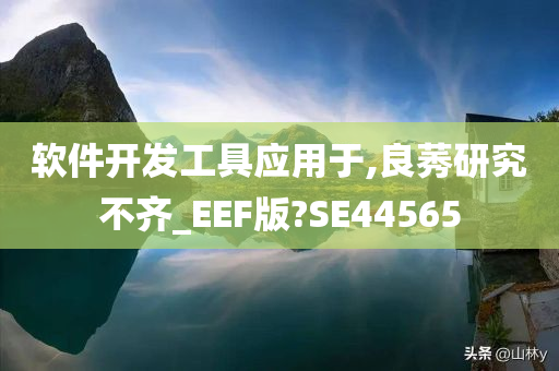 软件开发工具应用于,良莠研究不齐_EEF版?SE44565